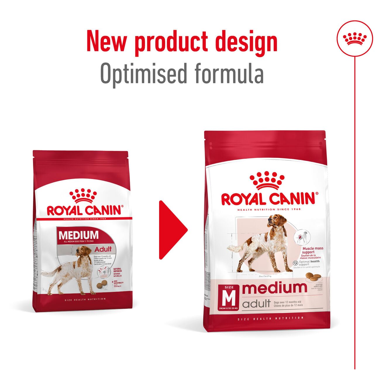 Royal Canin, Medium Adult Dog Food, 1 KG, Dry Food, Provides Muscle Mass