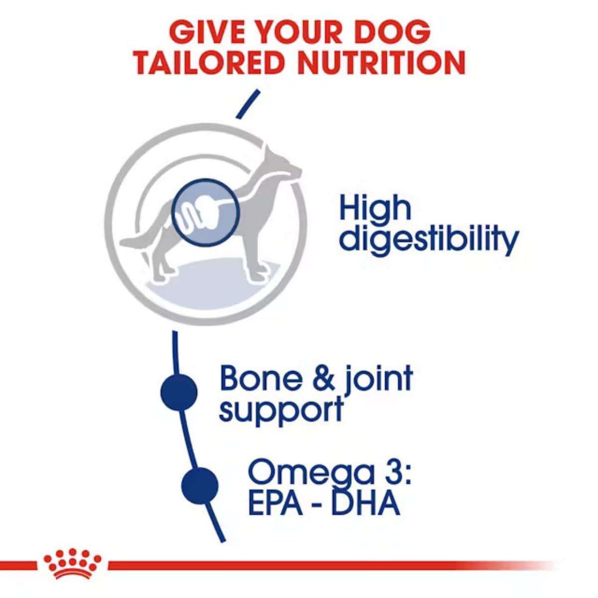 Royal Canin Maxi Adult Dog Food, 4 KG,  Dry Food, Supports Digestive Health