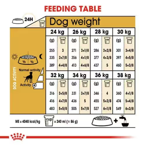 Royal Canin Boxer Adult Dry Dog Food, 3 KG Pack, Maintain Muscle Mass