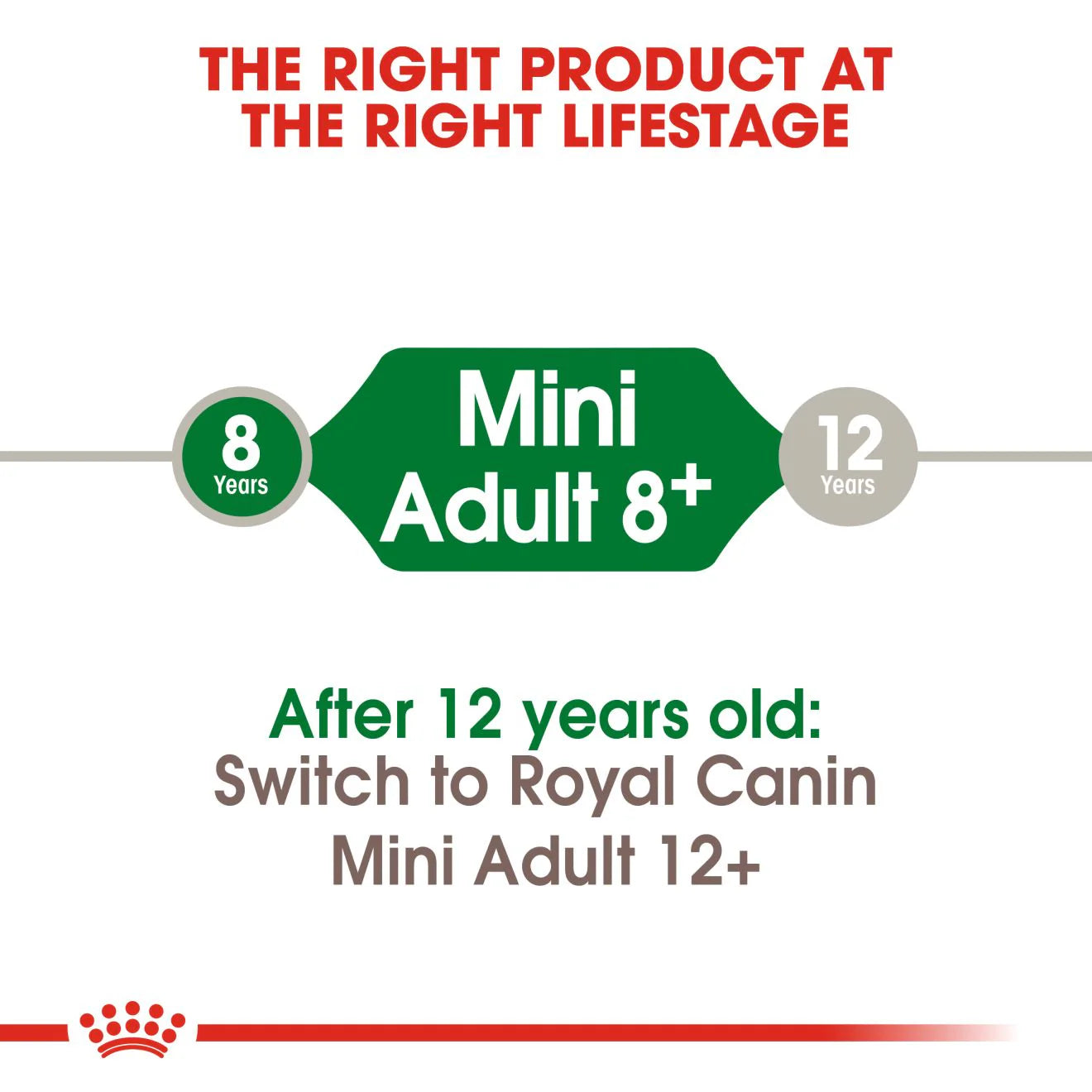 Royal Canin, Mini Adult Dry Dog Food for Senior Dogs (8+ Years), 2 kg