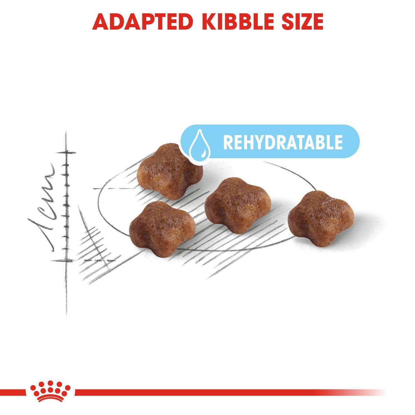 Royal Canin Mother & Babycat Food, 400 GMs Pack, Supports Immunity & Digestive Health