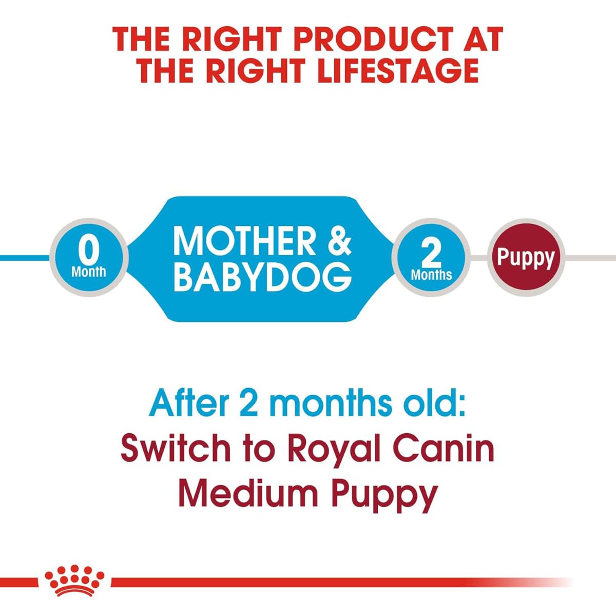 Royal Canin Medium Starter, Mother & Baby dog Food, 4 Kg, Dry Food