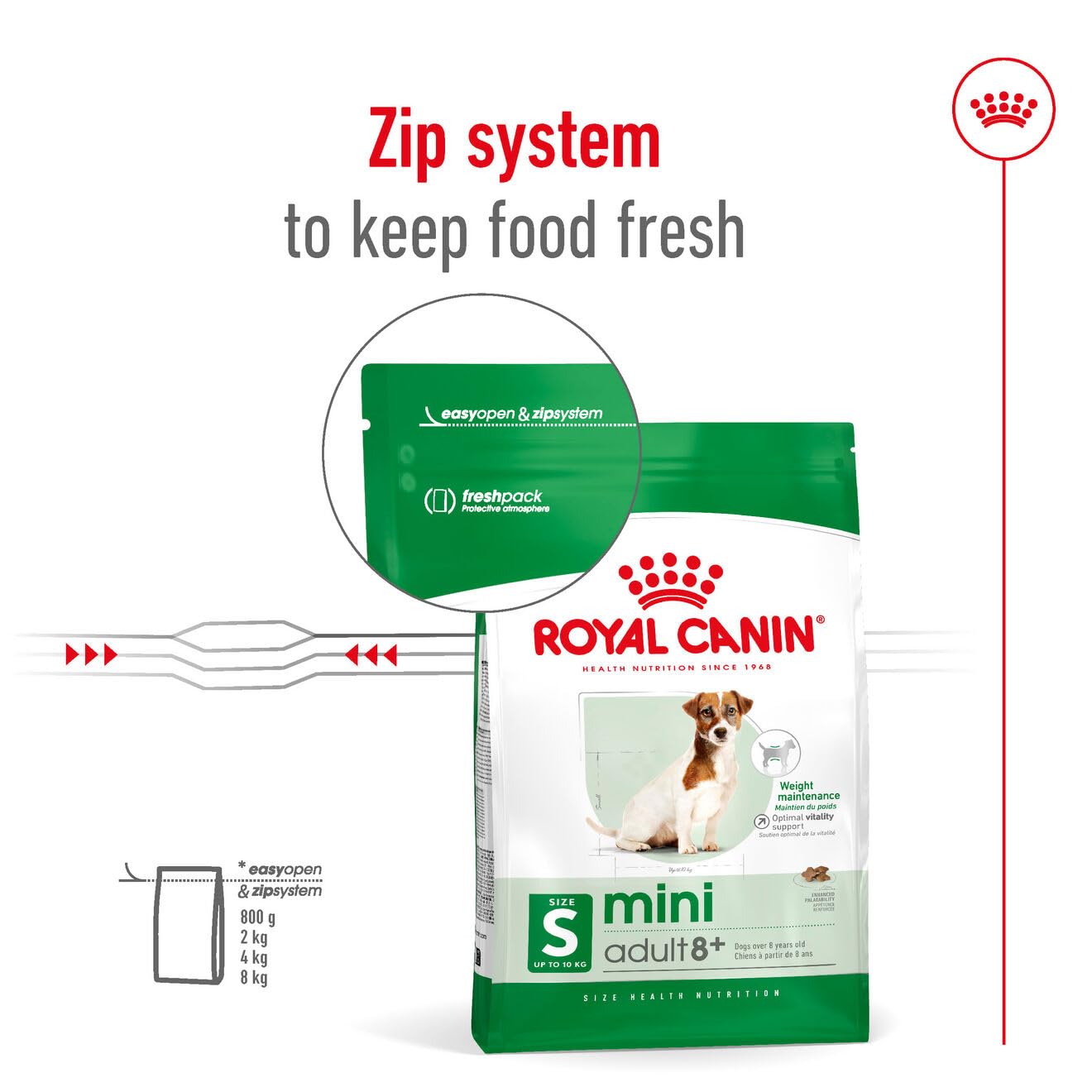 Royal Canin, Mini Adult Dry Dog Food for Senior Dogs (8+ Years), 4 kg