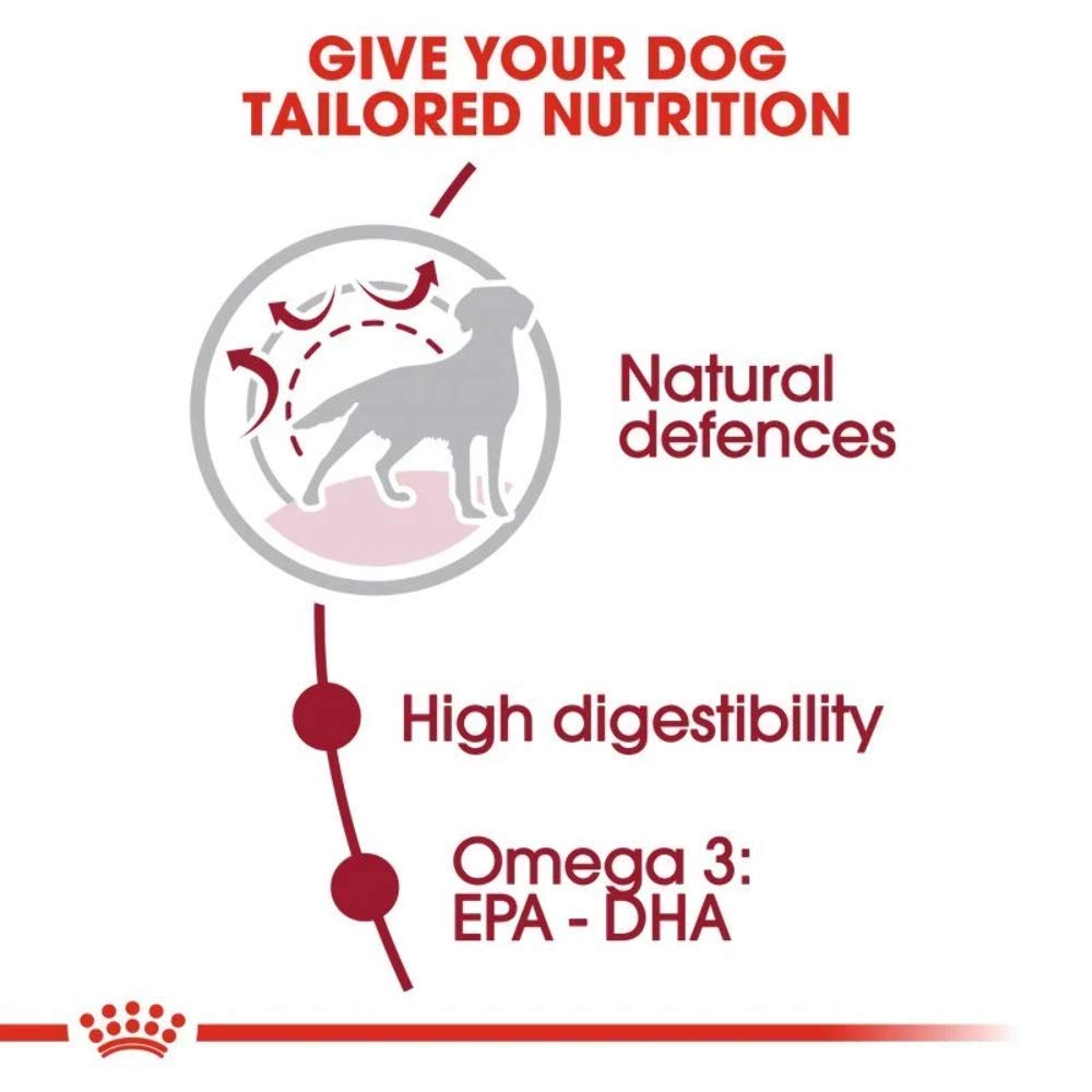 Royal Canin, Medium Adult Dog Food, 10 KG, Dry Food, Provides Muscle Mass