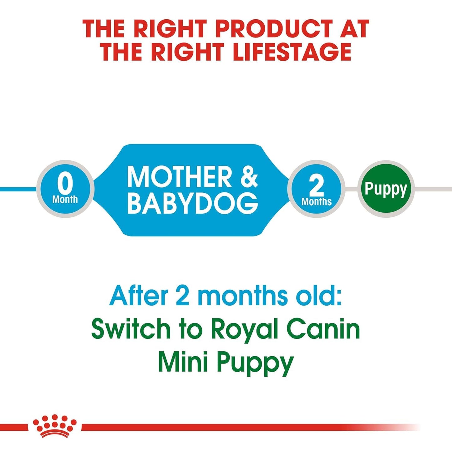 Royal Canin Starter Mini, Mother & Babydog Dry Food, 220 GMs Pack, Easy Rehydrationy)