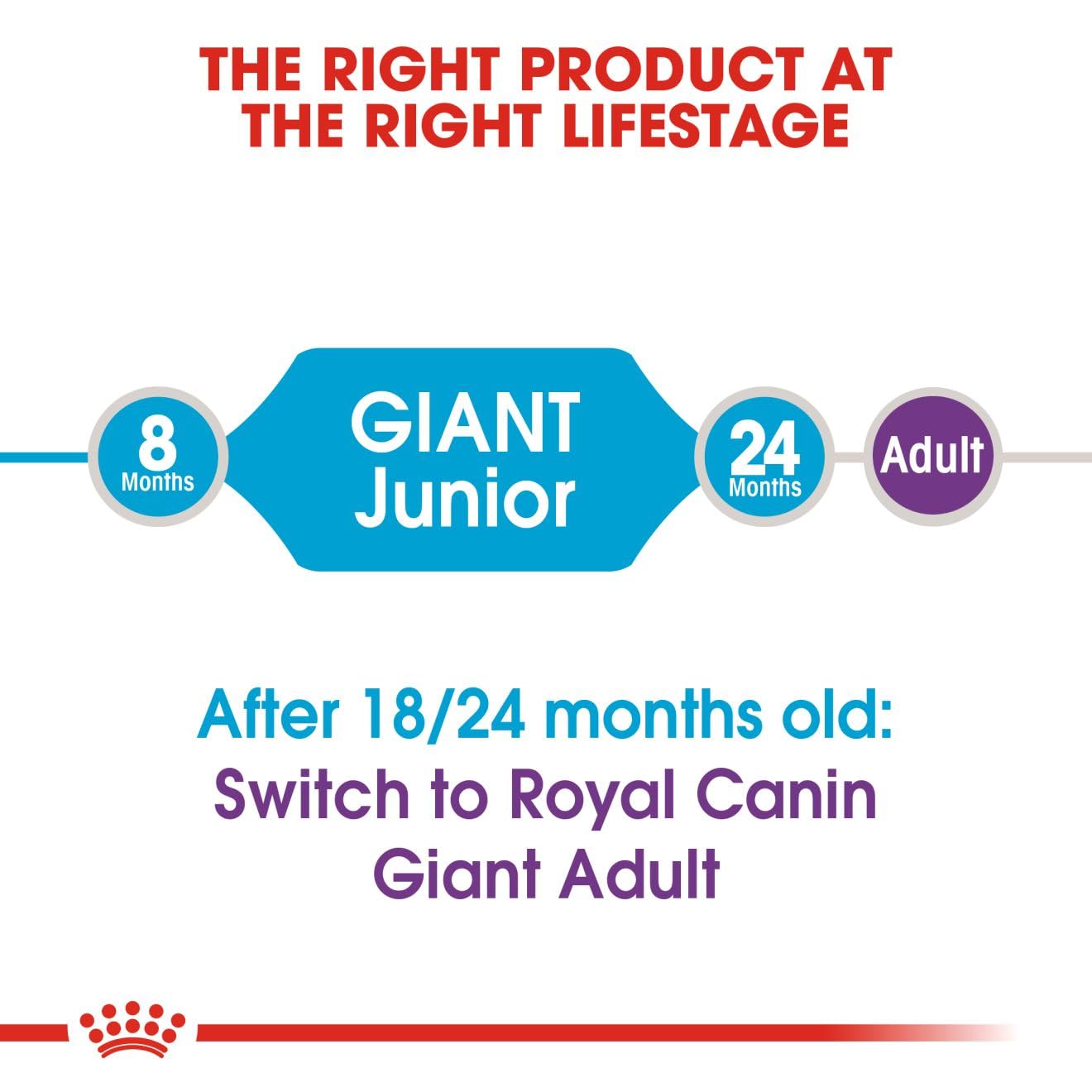 Royal Canin Giant Junior Dog Dry Food, 15 KG Pack, Supports Immune System