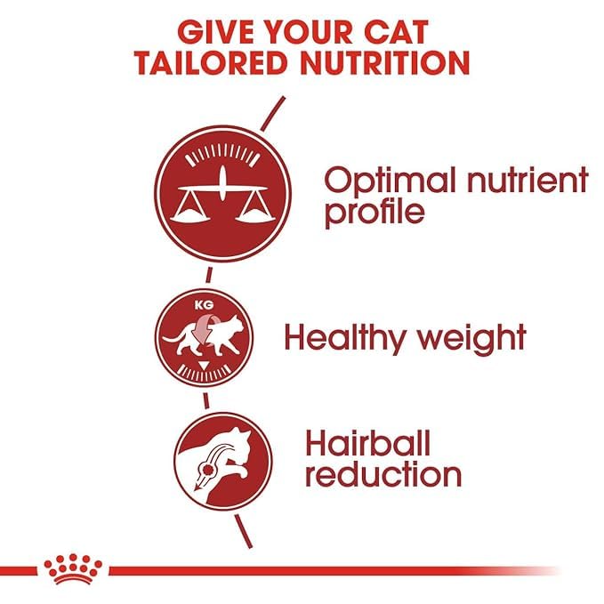 Royal Canin Fit 32 Adult Cat Dry Food, 4 KG Pack, Optimum Nutrient Profile