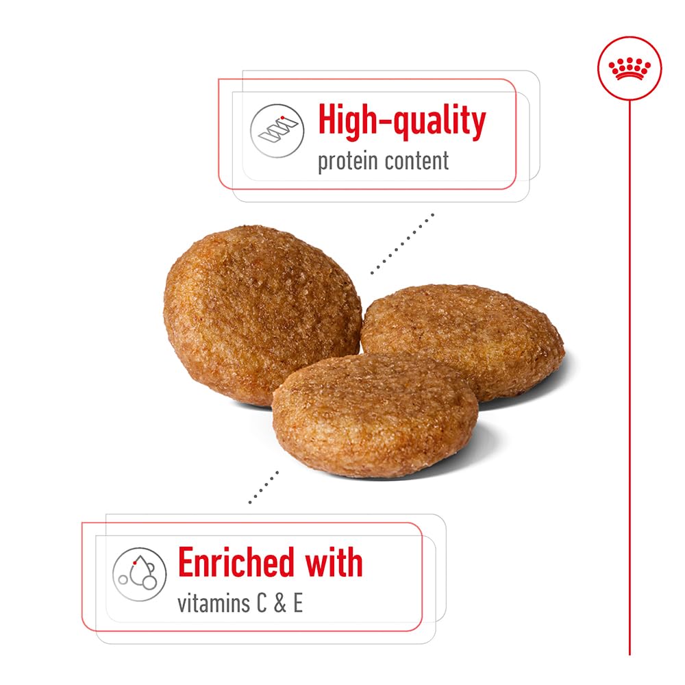 Royal Canin, Medium Adult Dog Food, 15 KG, Dry Food, Provides Muscle Mass