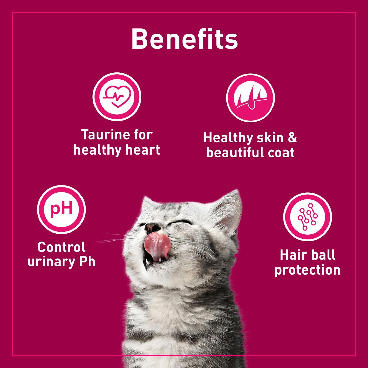Purepet Kitten (1-12 Months) Tuna & Salmon Flavour Dry Cat Food, 1.2 KG Pack