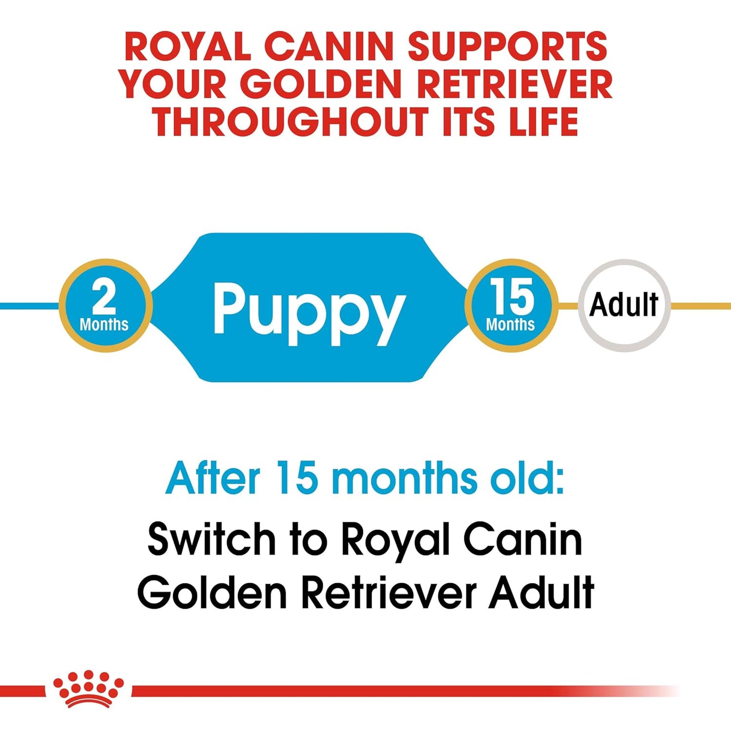 Royal Canin Golden Retriever Puppy Food, 12 KG Pack, Supports Immune System