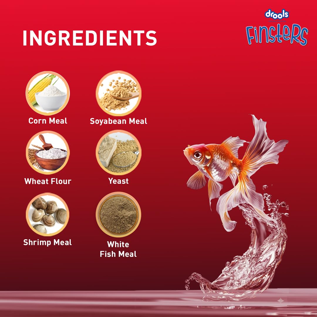 Drools Finsters Quick Red Fish Food, 100 Gms | Seafood Flavour | Colour-Enhancing Formula