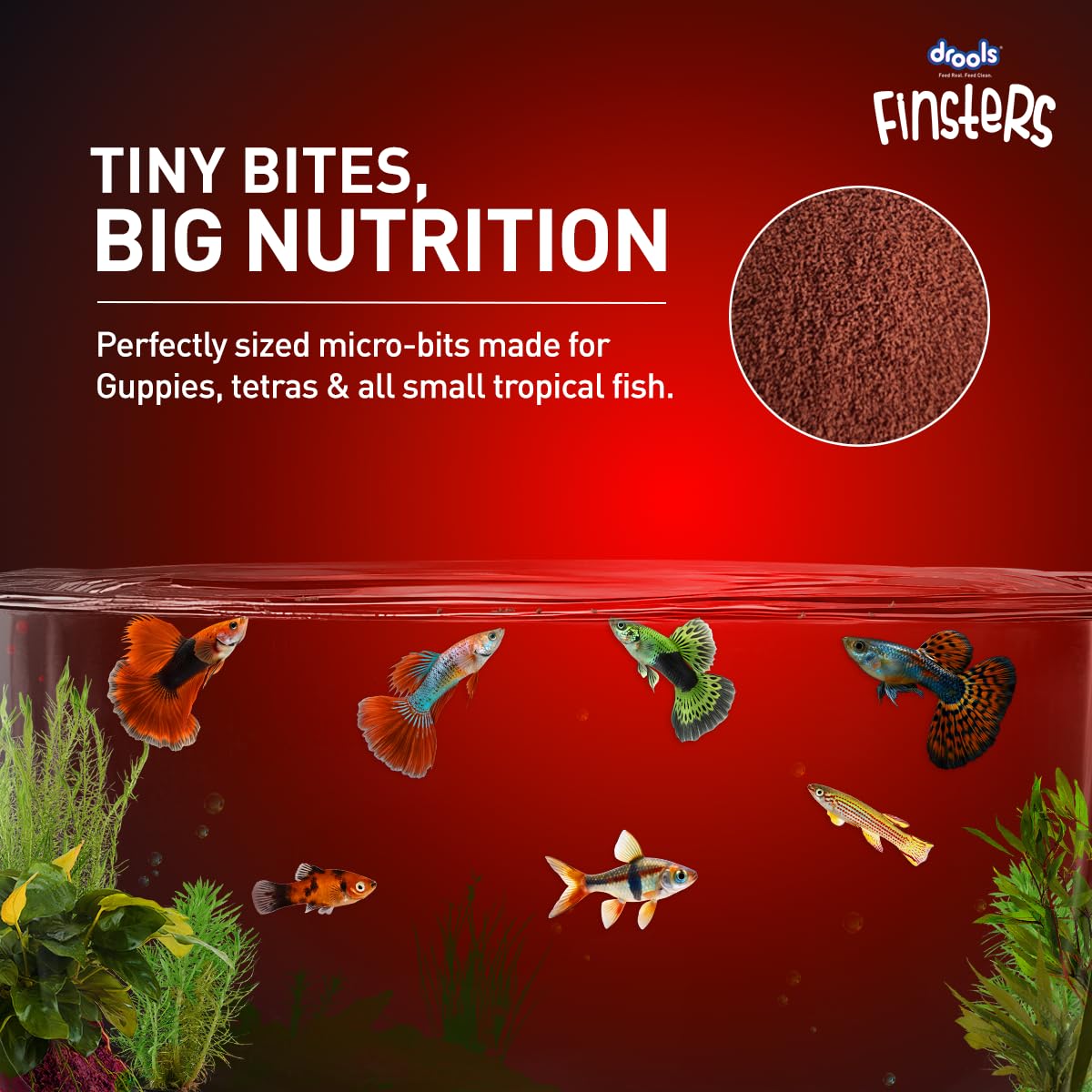 Drools Finsters Guppy Bits Fish Food, 45 Gms, Seafood Flavour, Pack of 2 Pouches