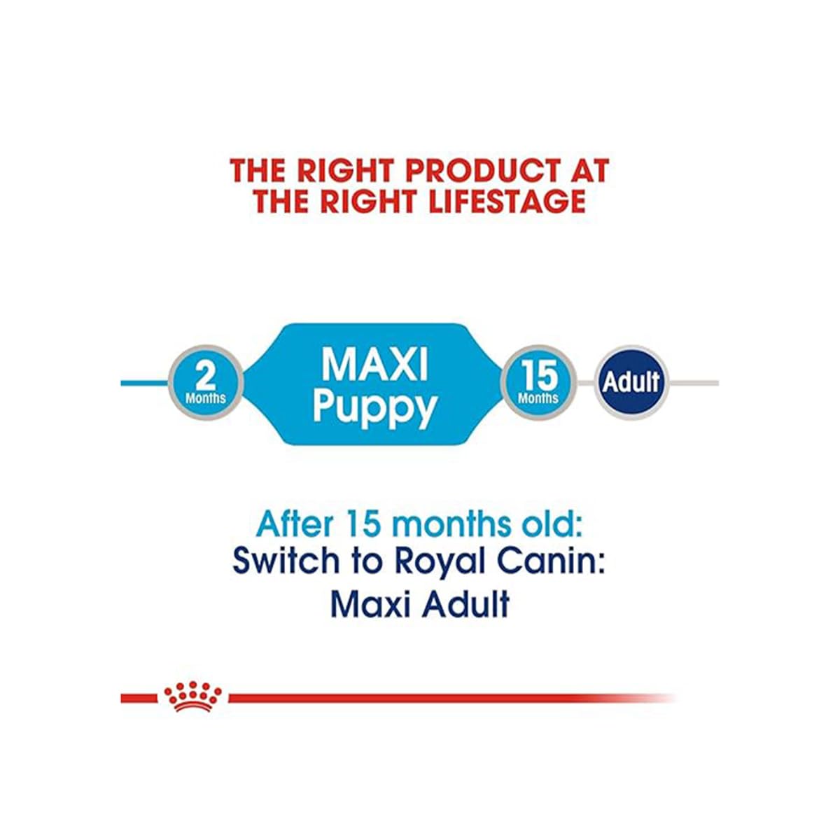 Royal Canin Maxi, Puppy Food for Stage 3, 140 Grams, Pack of 10 Sachet, Wet Food