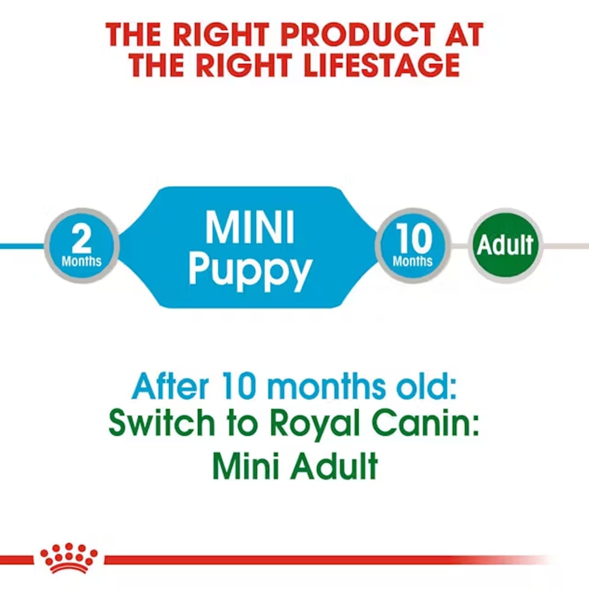 Royal Canin, Mini Puppy Gravy Food, 85 Grams, Pack of 12 Sachet