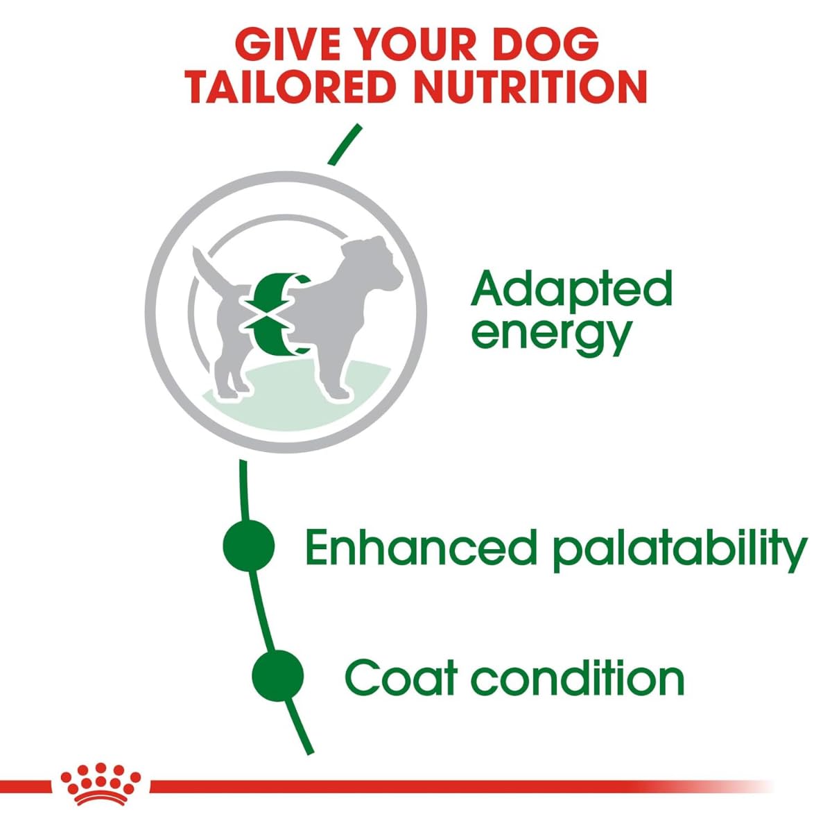 Royal Canin, Mini Adult Dry Dog Food, 4 KG, Supports Weight Management