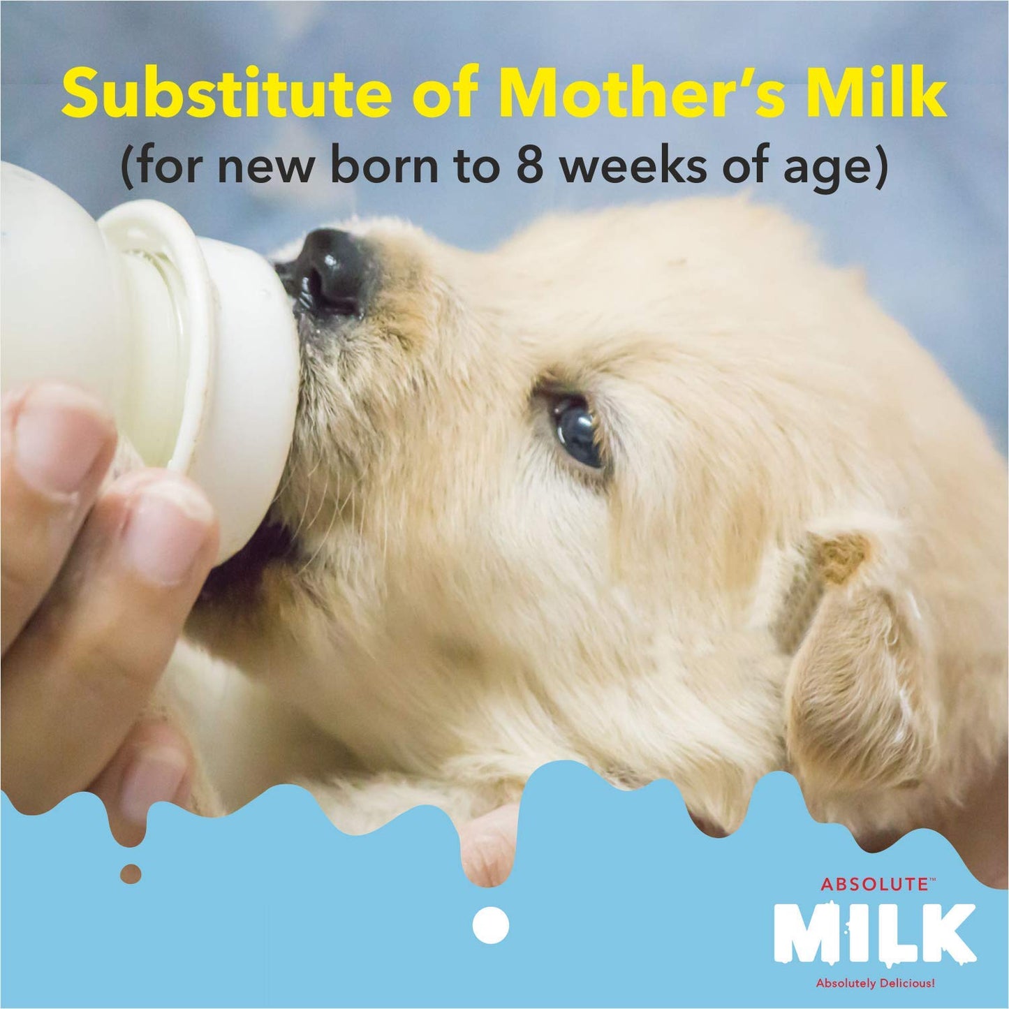 Drools Absolute Liquid Milk For Newborn Puppy Dog, 500G Pack
