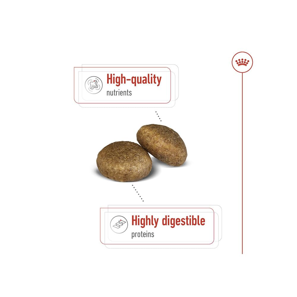 Royal Canin Maxi Adult Dog Food, 2.5 KG,  Dry Food, Supports Digestive Health