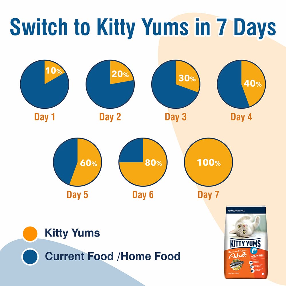 Kitty YUMS Adult (+1 Year) Dry Cat Food, 3 KG Pack, Ocean Fish Flavour