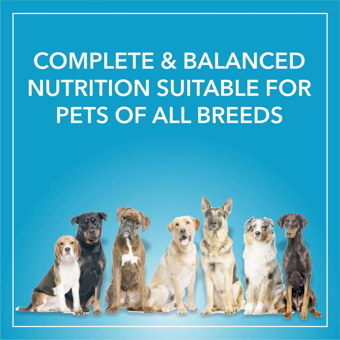 Purepet Adult Dry Dog Food, 9 KG Pack, Chicken & Vegetable Flavour