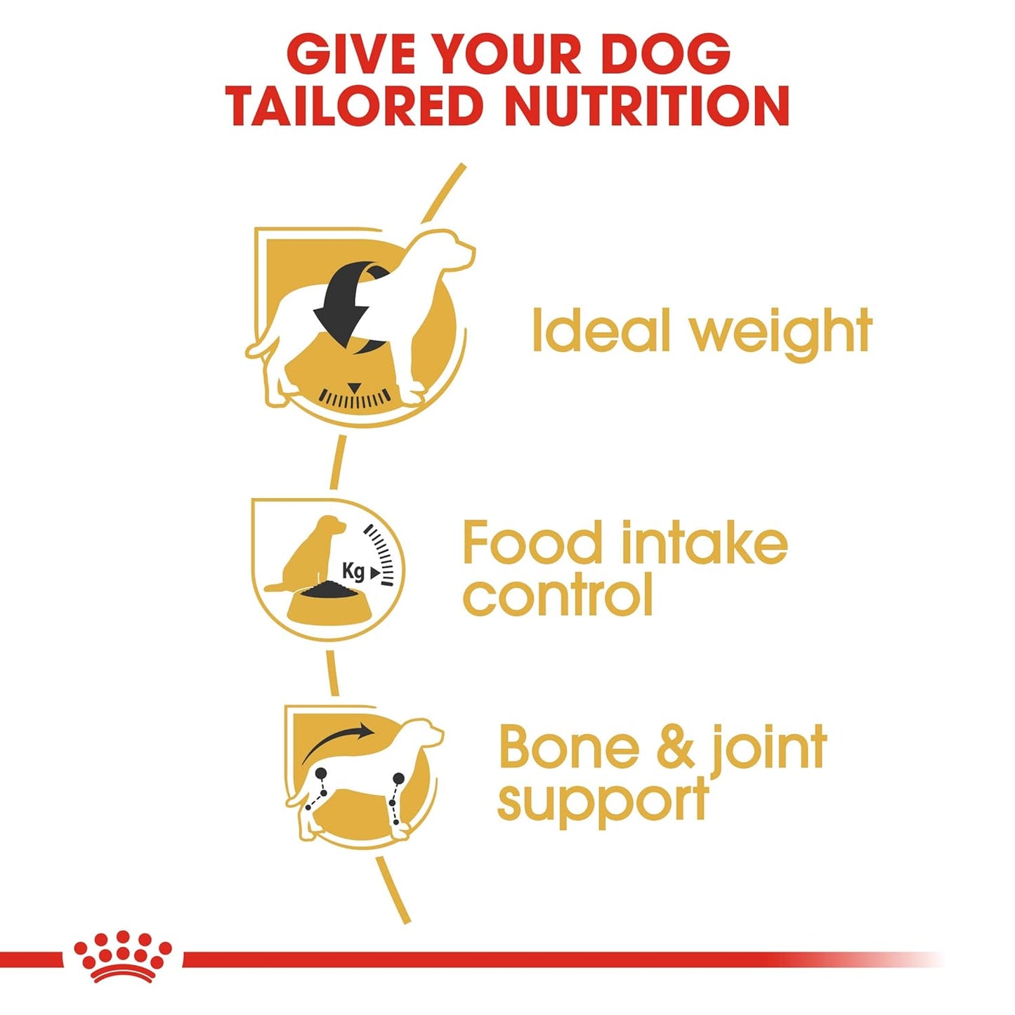 Royal Canin Beagle Adult Dry Dog Food, 12 KG Pack, Supports Ideal Weight