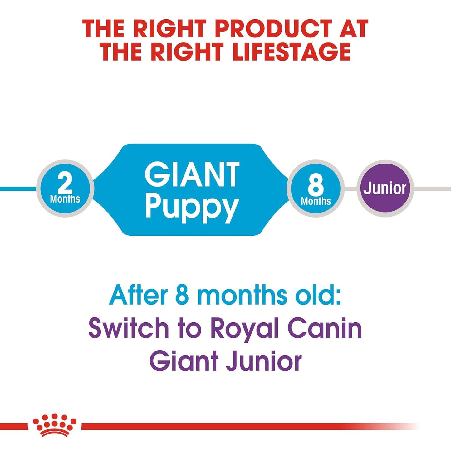 Royal Canin Giant Puppy Dog Dry Food, 3.5 KG Pack, Supports Immune System