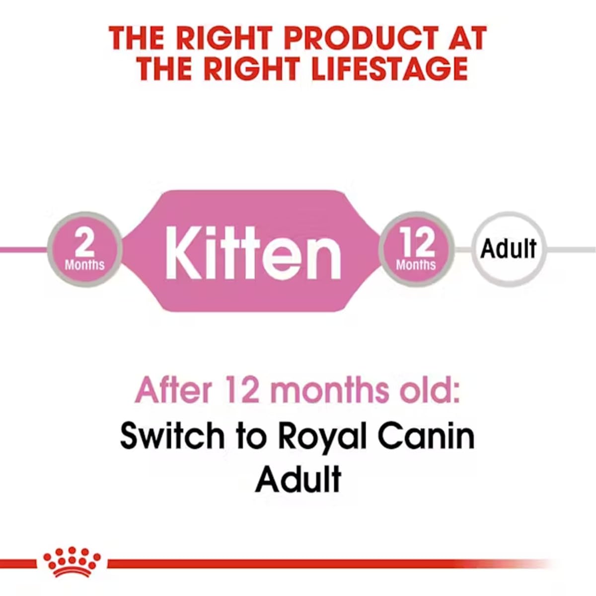 Royal Canin Instinctive Adult Cat Jelly Food, 85 Grams, Pack of 12 Sachet
