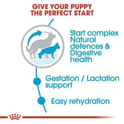 Royal Canin Maxi Starter Mother & Baby dog Food, 4 Kg, Dry Food