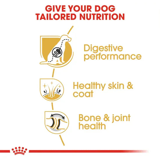 Royal Canin German Shepherd Adult Dog Food, 1 KG Pack, Promote Bone and Joint Health
