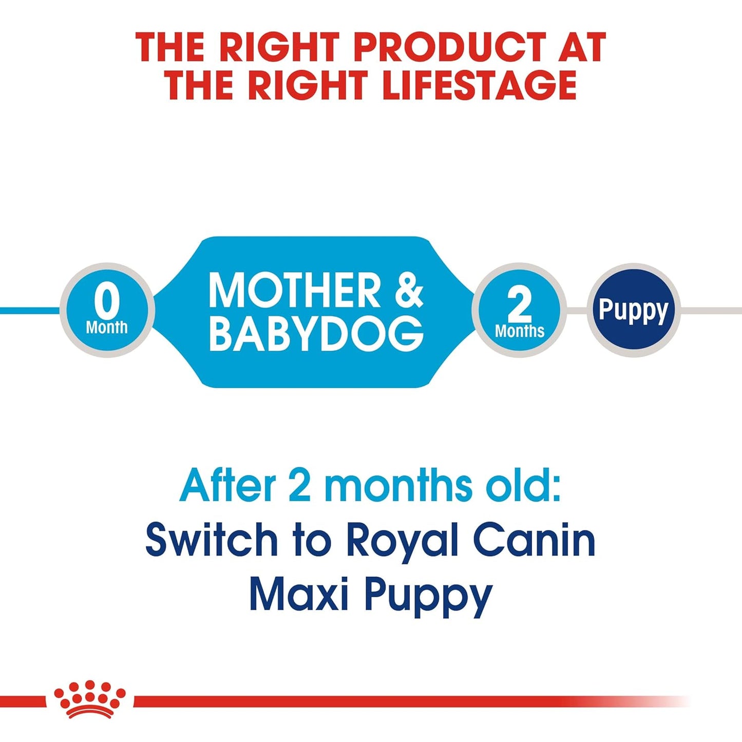 Royal Canin, Maxi Starter Mother & Baby dog Food, 1 Kg, Dry Food