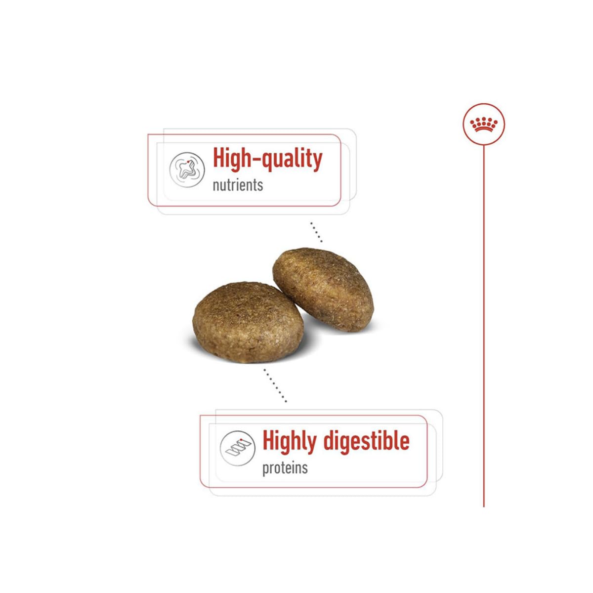 Royal Canin Maxi Adult Dog Food, 4 KG,  Dry Food, Supports Digestive Health