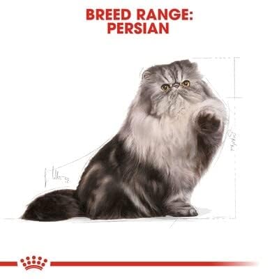 Royal Canin Persian Adult Cat Dry Food, 10 KG Pack, Supports Long Hair, Reduce Hairball Transformation