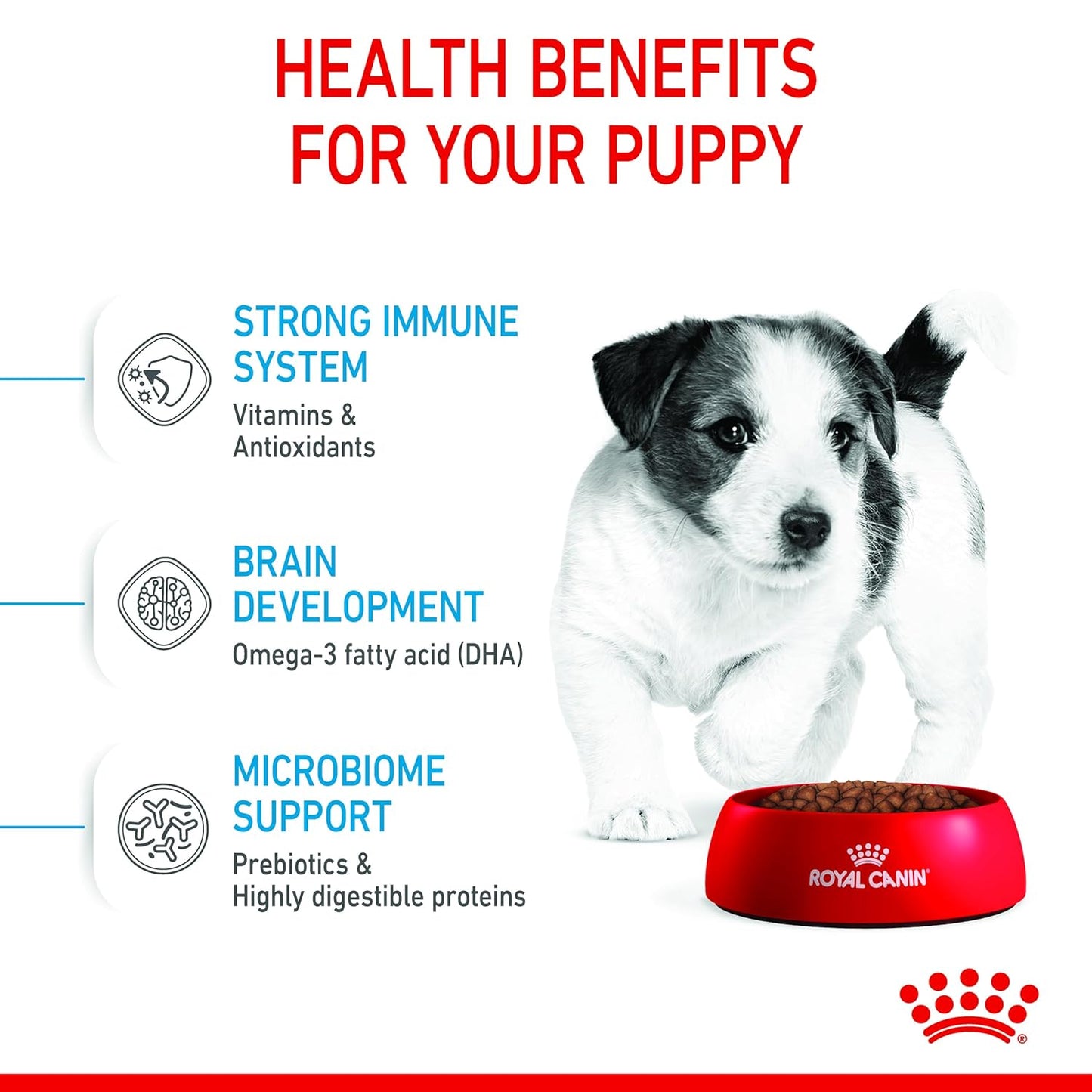 Royal Canin, Mini Puppy Food, Dry Food, 800 Gm, Supports Immune System