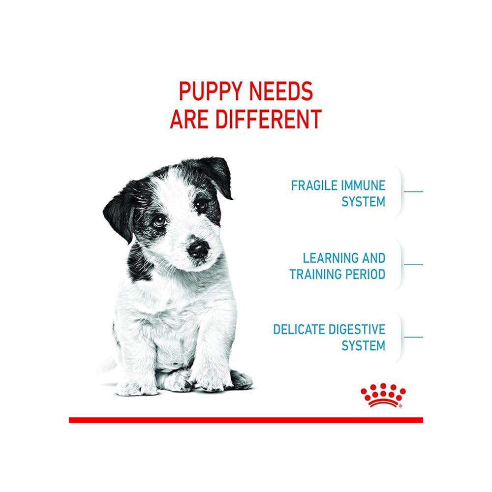 Royal Canin, Mini Puppy Food, Dry Food, 2 Kg, Supports Immune System