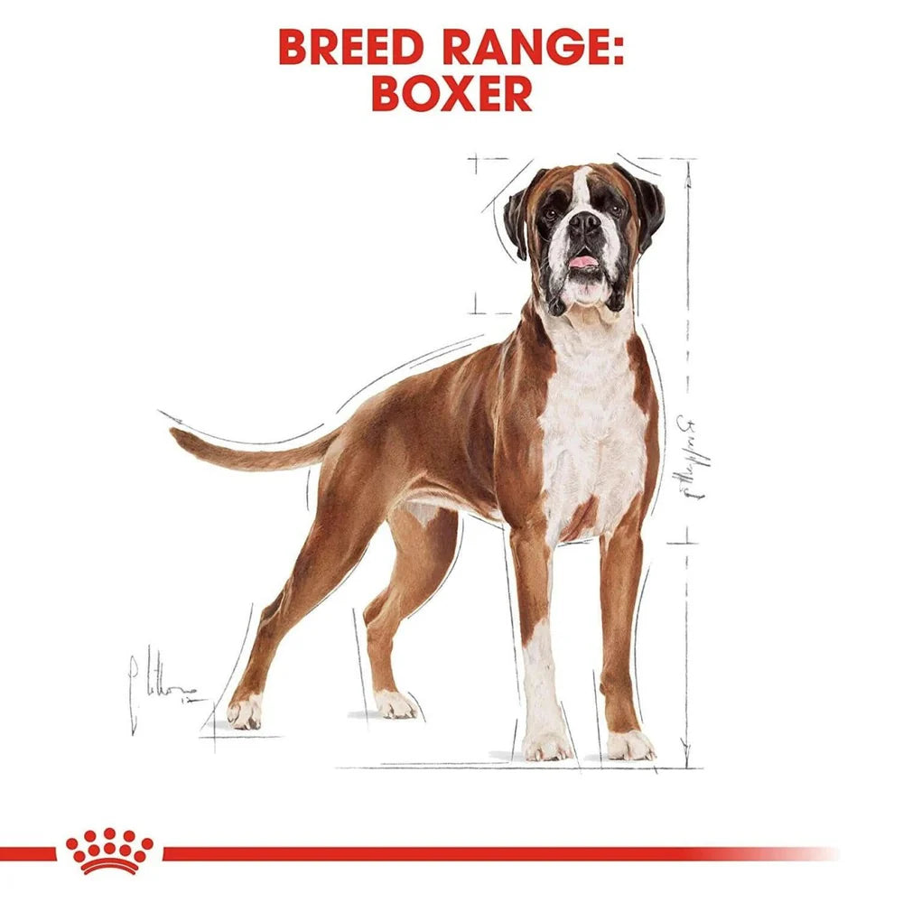 Royal Canin Boxer Adult Dry Dog Food, 12 KG Pack, Maintain Muscle Mass