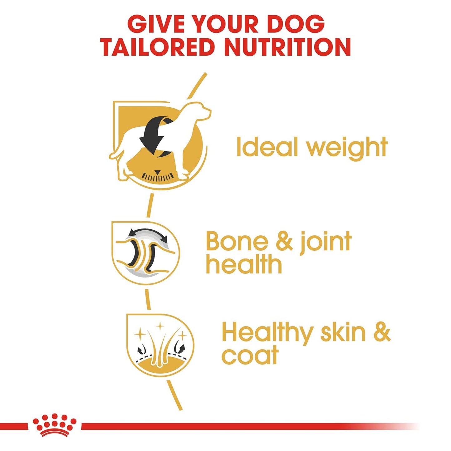 Royal Canin Labrador Retriever Puppy, Dog Food, 1 KG, Growth & Weight Management