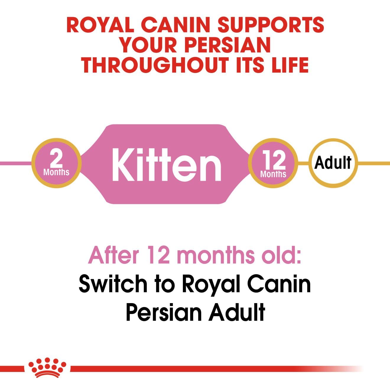 Royal Canin Persian Kitten Food, 1 Kg, Dry Food, Supports Long Hair