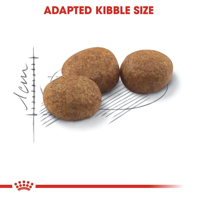 Royal Canin Sterilised 37 Regular Adult Cat Dry Food, 400 GMs Pack, Healthy Weight Management