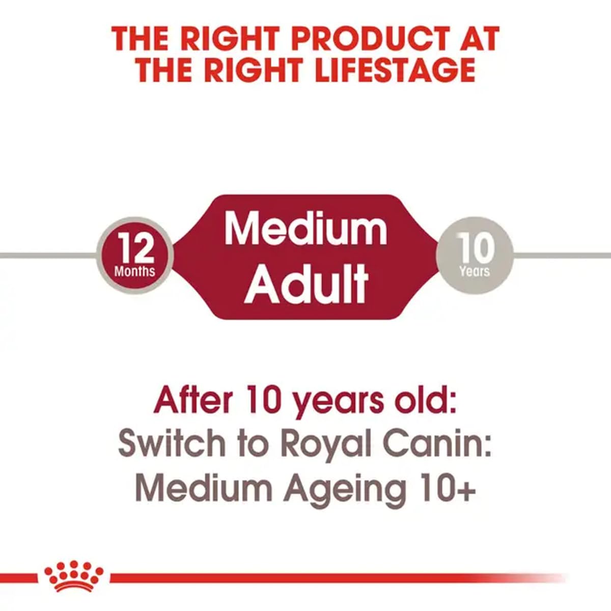 Royal Canin, Medium Adult Dog Food, Gravy, 140 G,  (Pack of 10)