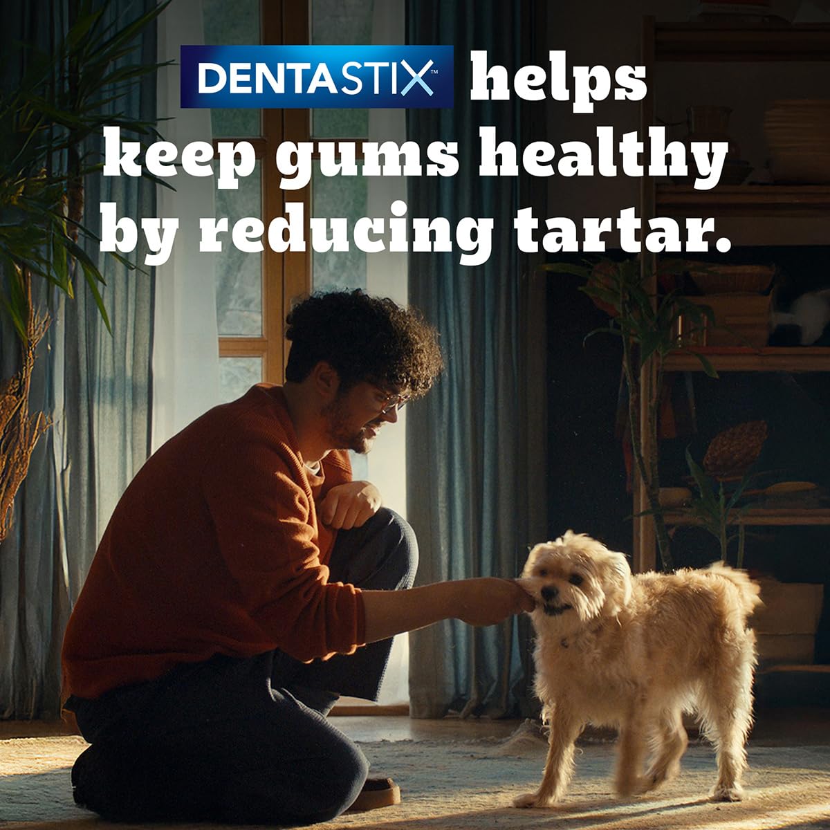 Dentastix Dog Treat Weekly Pack, Pack of 7 Sticks - 180 GMs
