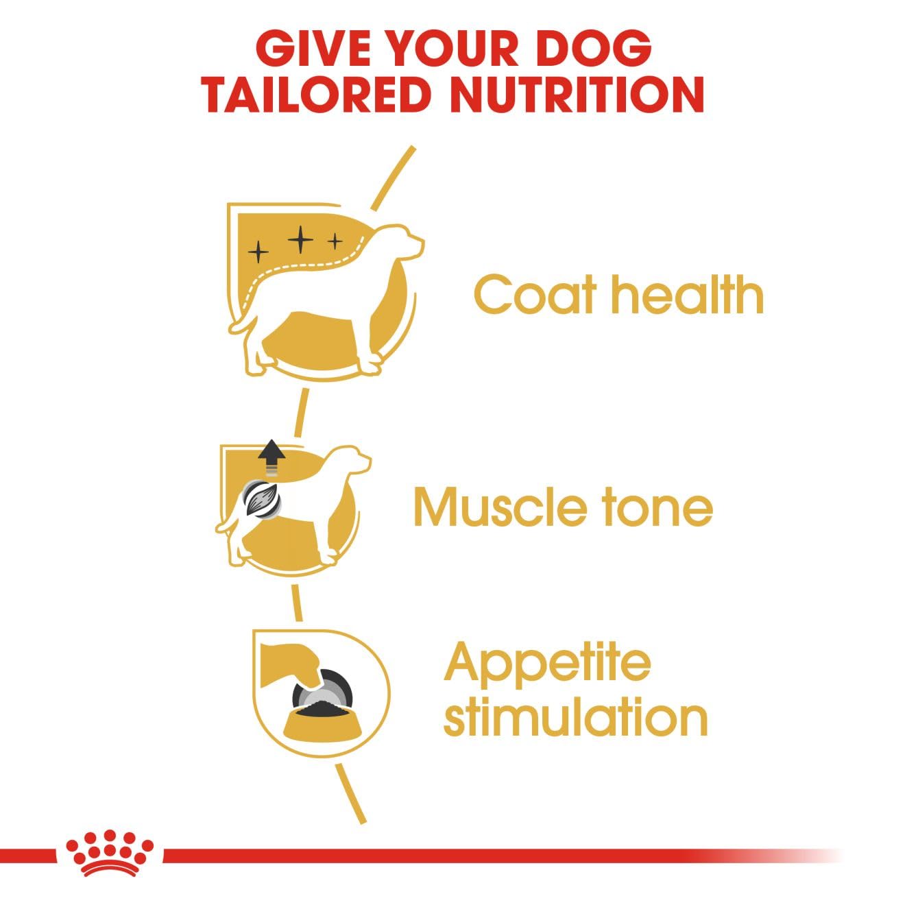 Royal Canin, Poodle Adult Dog Food, 1.5 KG, Dry Food, Supports Beautiful Fur