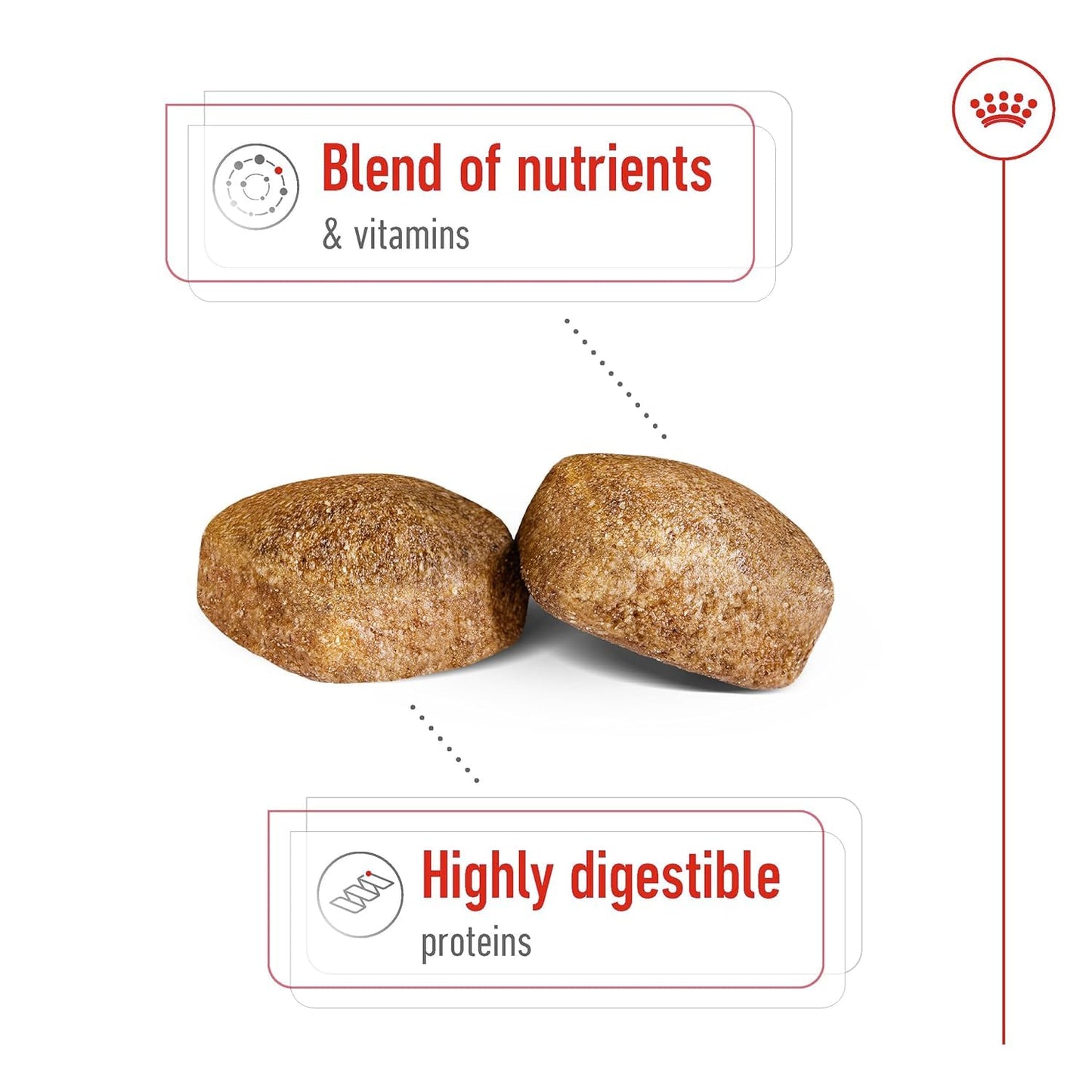 Royal Canin Giant Adult Dry Dog Food, 4 KG Pack, Supports Healthy Joint