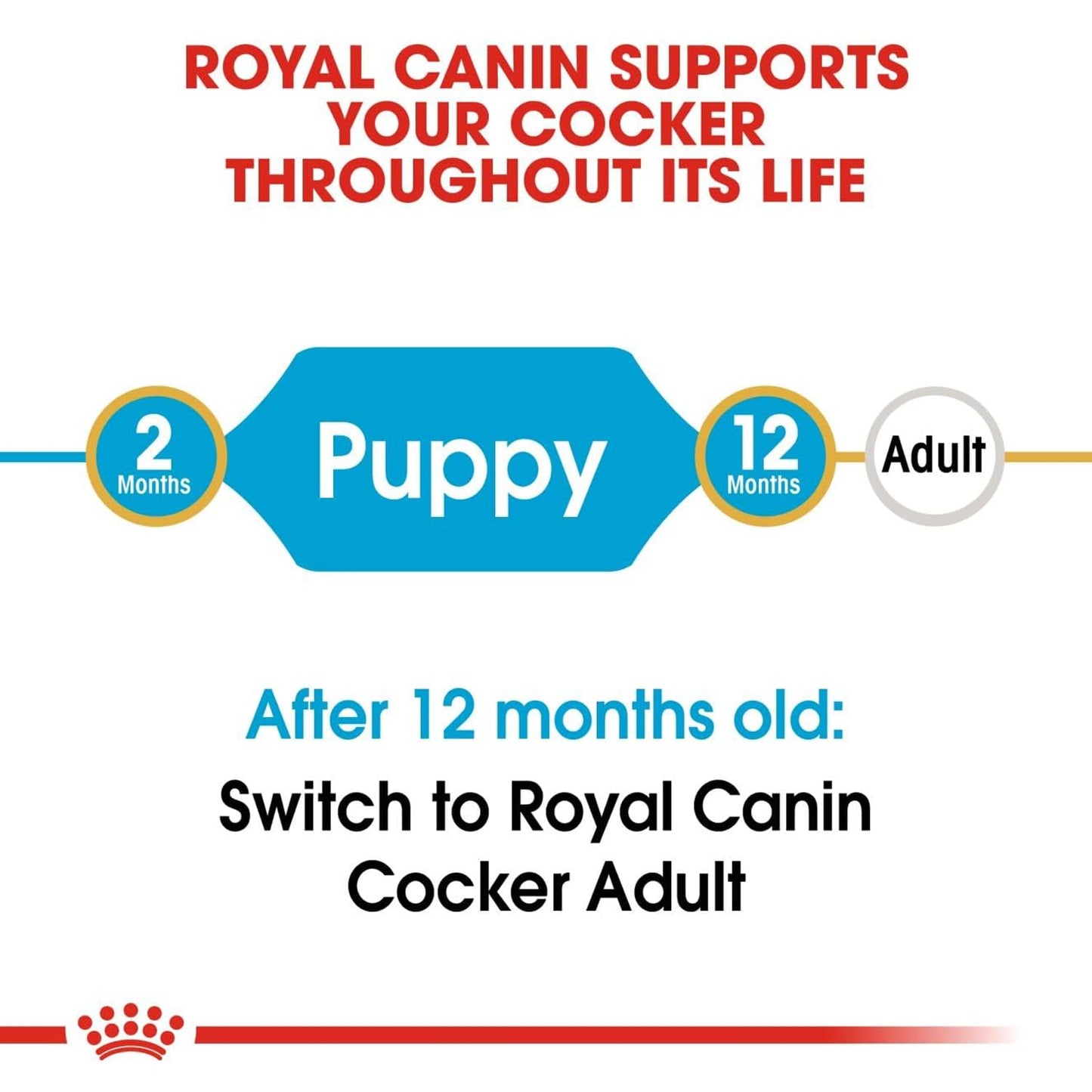 Royal Canin Cocker Puppy Complete Dog Food, 3 KG Pack