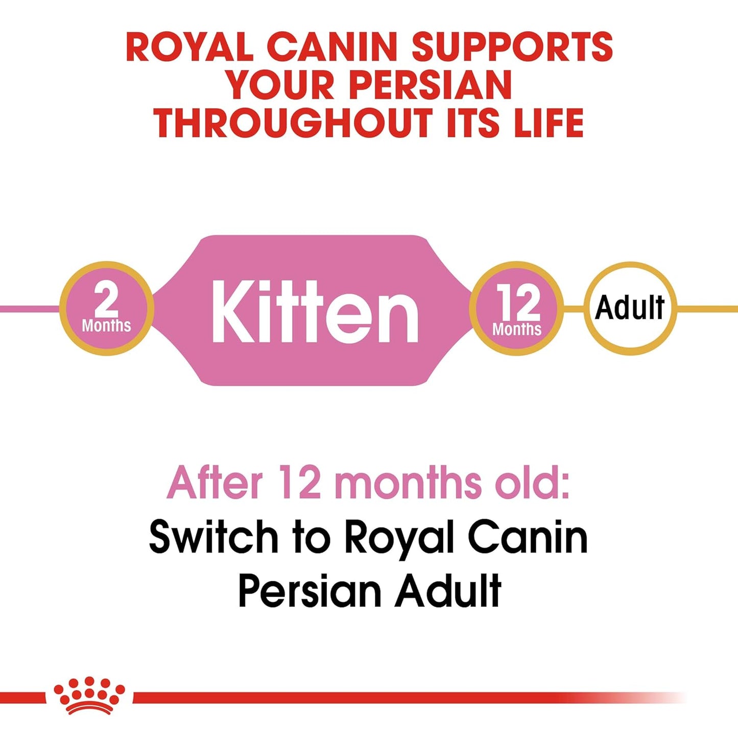 Royal Canin Persian Kitten Food, 400 Gm, Dry Food, Supports Long Hair