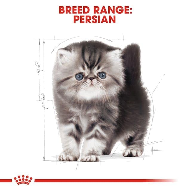 Royal Canin Persian Adult Cat Dry Food, 2 KG Pack, Supports Long Hair