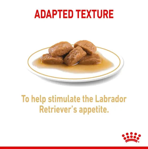 Royal Canin Labrador Retriever Adult Dog Food, Wet Food Pack of 10 Sachet, 140Gm