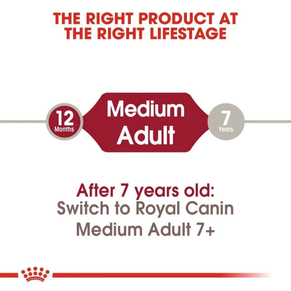 Royal Canin, Medium Adult Dog Food, 10 KG, Dry Food, Provides Muscle Mass