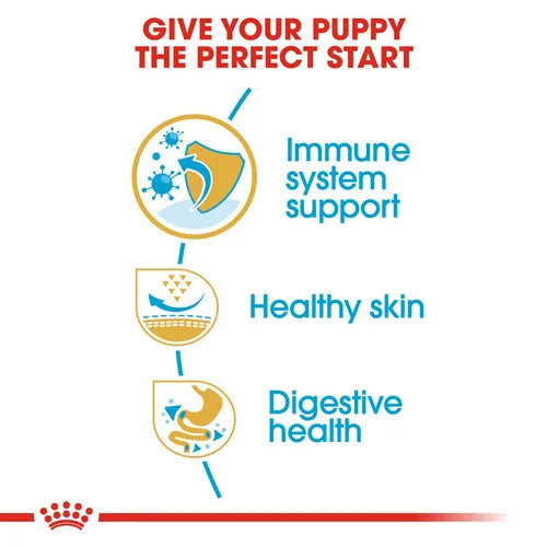 Royal Canin, Pug Puppy, 500 GM, Dry Food