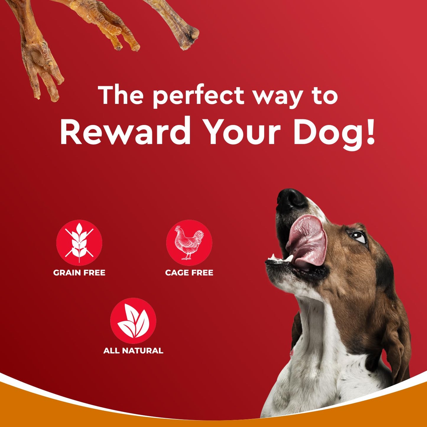 Drools Puppy & Adult Dog Treat Real Chicken Flavour, Dehydrated Chews Feet, 70Gms Pack