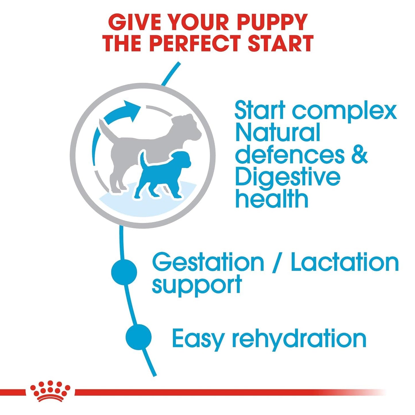 Royal Canin Starter Mini, Mother & Babydog Dry Food, 220 GMs Pack, Easy Rehydrationy)