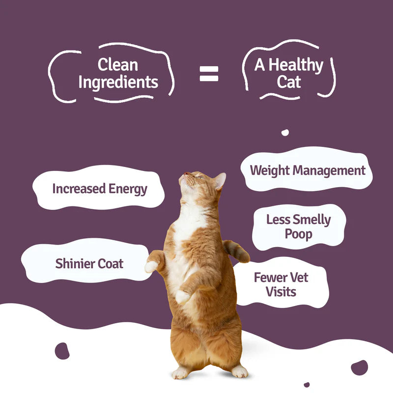 BLEP Tun-Tuna Fresh Cat Food - 100 GMs - Pack of 3